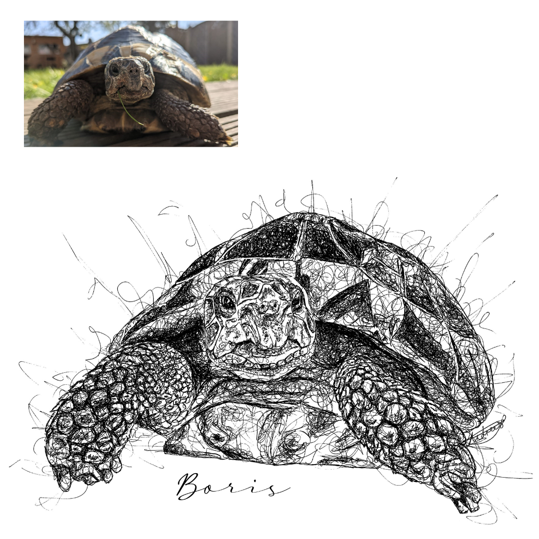 Pets Custom Portrait Drawing from Photo