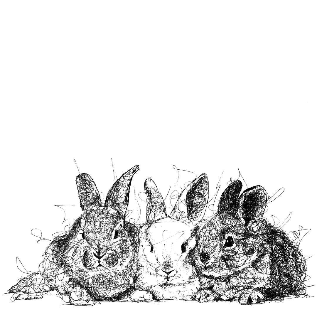 Pets Custom Portrait Drawing from Photo