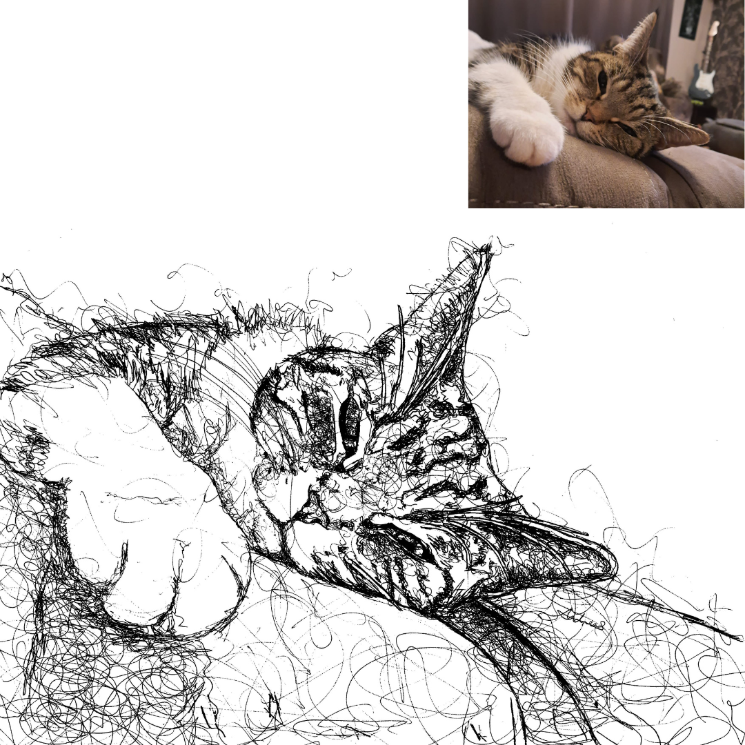 Cat Custom Portrait Drawing from Photo