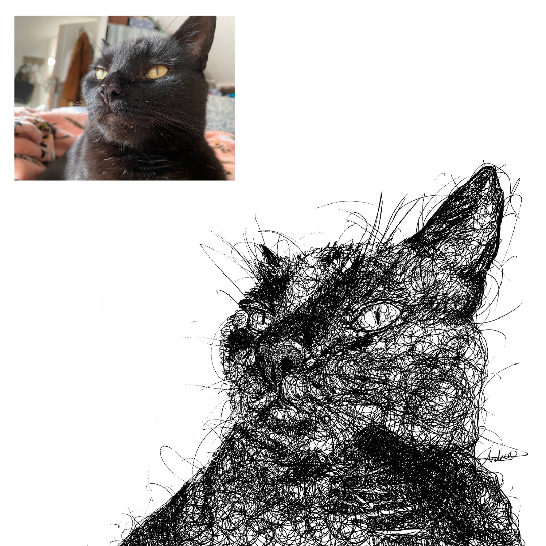 Cat Custom Portrait Drawing from Photo