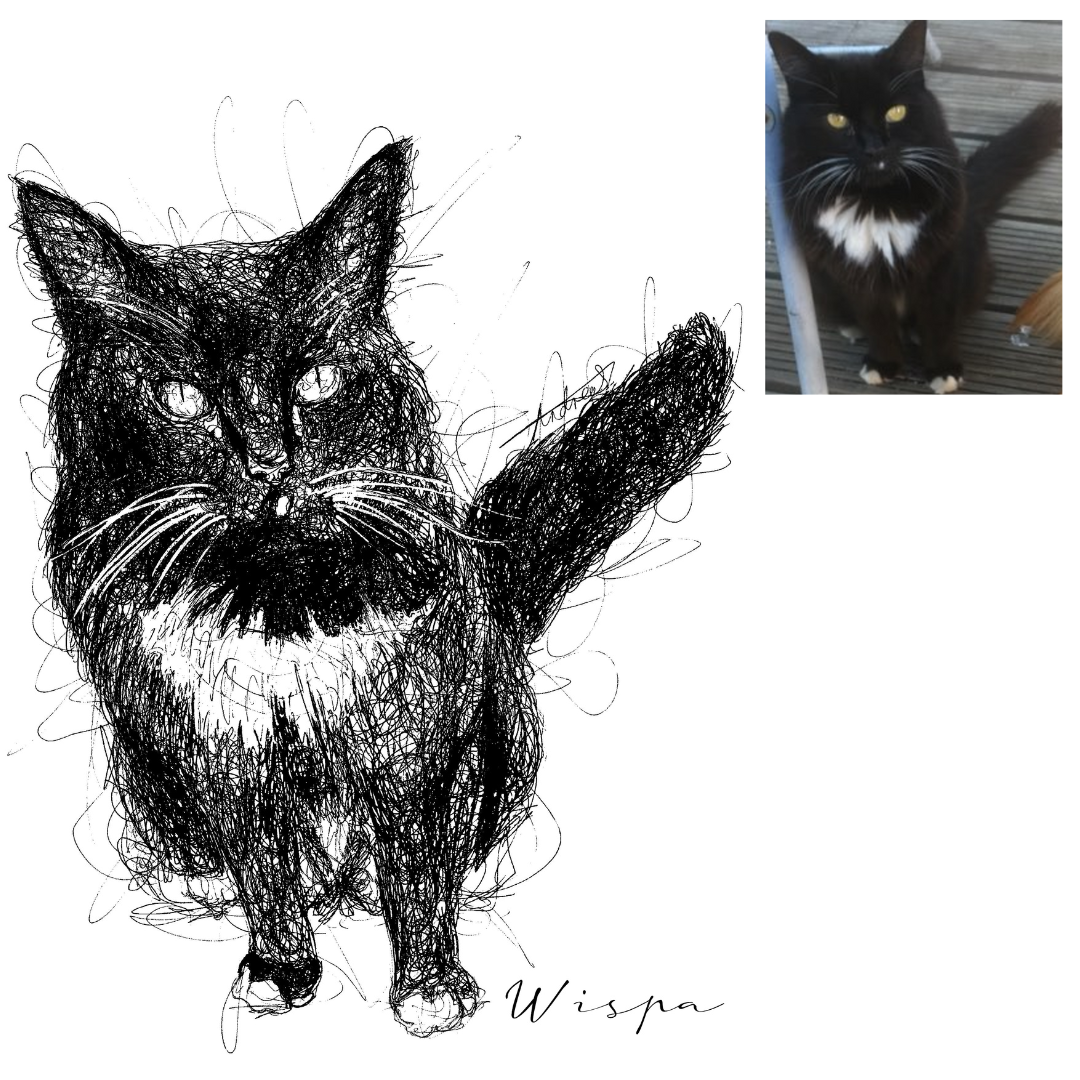 Cat Custom Portrait Drawing from Photo