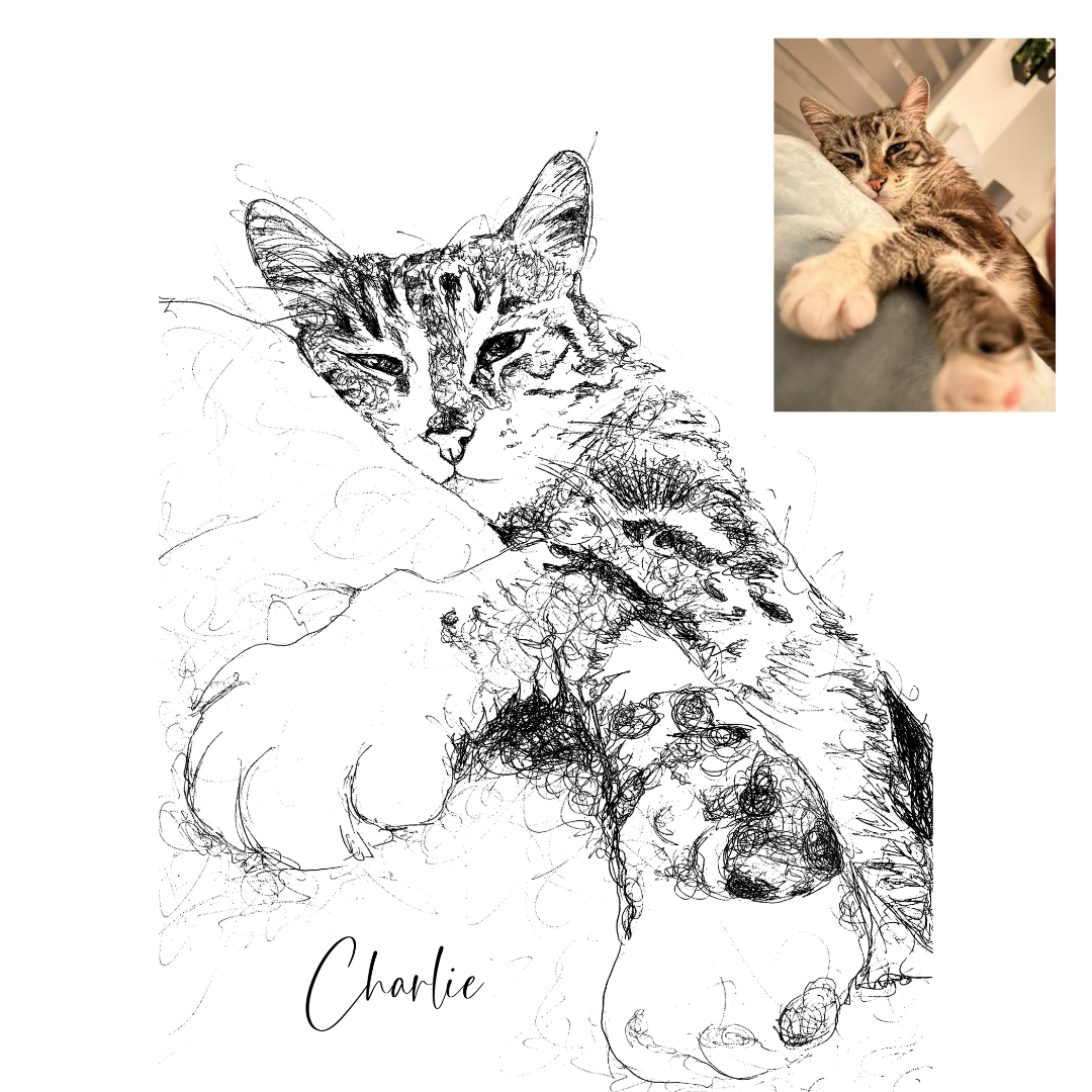 Cat Custom Portrait Drawing from Photo