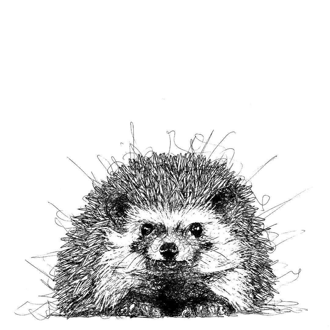 Pets Custom Portrait Drawing from Photo
