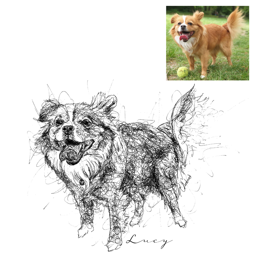 Dog Custom Portrait Drawing from Photo