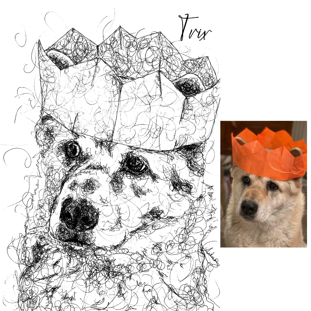 Dog Custom Portrait Drawing from Photo