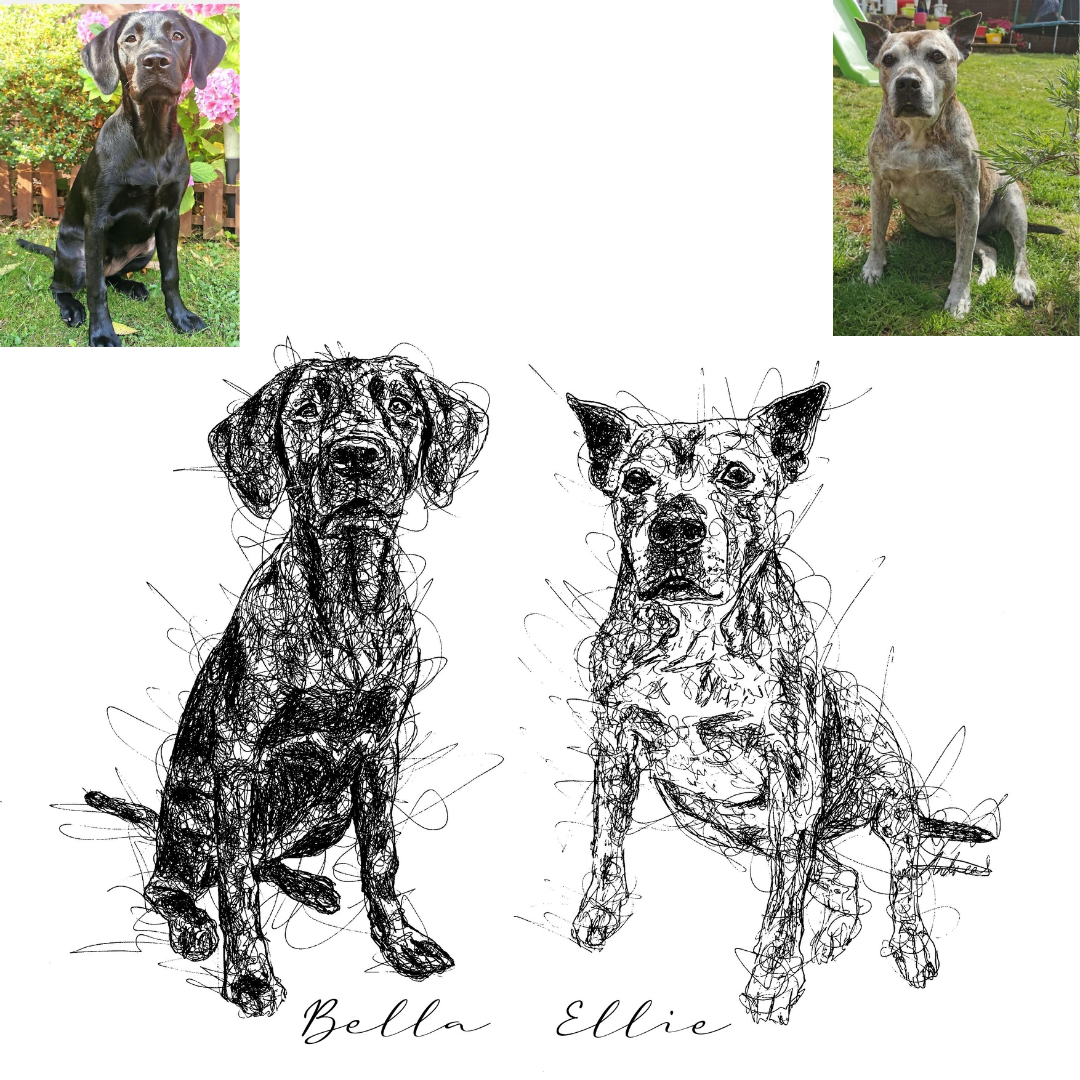 Dog Custom Portrait Drawing from Photo
